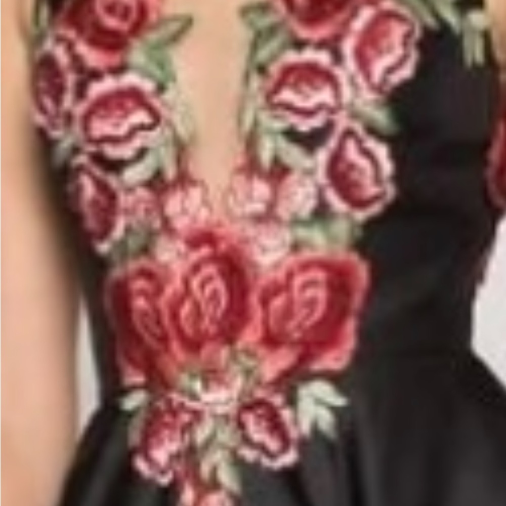 Elegant Black Dress with Red Floral Embroidery prom or mother of the bride